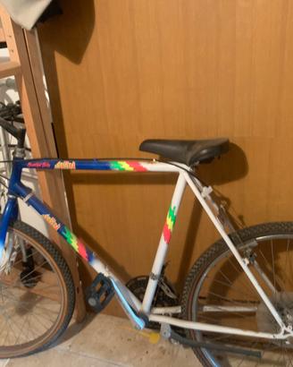 Bicicletta