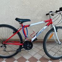 Bicicletta Mtb