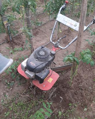 motozappa honda 160cc