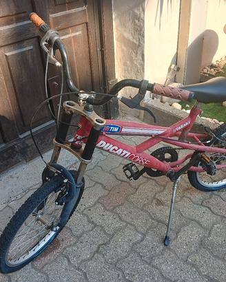 Bicicletta da bambino/ragazzo 