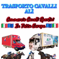 Trasporto Cavalli ALÌ POSTI DISPONIBILI