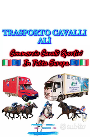 Trasporto Cavalli ALÌ POSTI DISPONIBILI