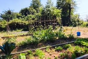 terreno per orto e tempo libero 