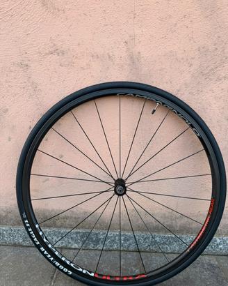 ruota completa carbonio ant campagnolo bici