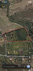 Terreno agricolo a Belpasso in contrada campana