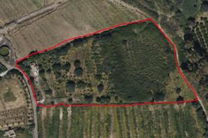 Terreno agricolo a Belpasso in contrada campana