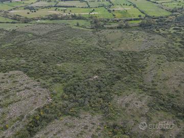 20 ettari pascolo cespugliato