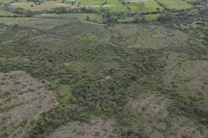 20 ettari pascolo cespugliato