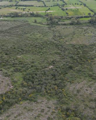 20 ettari pascolo cespugliato