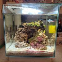 acquario marino newa 18l