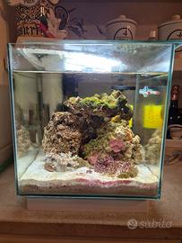 acquario marino newa 18l