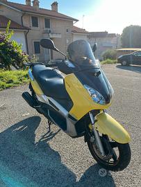 Xmax 250