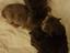 Immagine 3