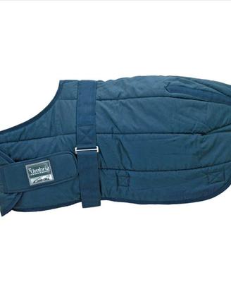 Coperta puledro Umbria equitazione