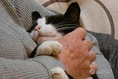 Assistenza Anziani H24 in Convivenza con Patente