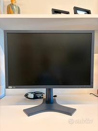 Monitor Professionale LaCie 526 - Grafica e foto