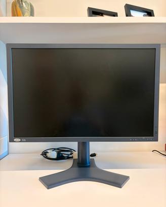 Monitor Professionale LaCie 526 - Grafica e foto