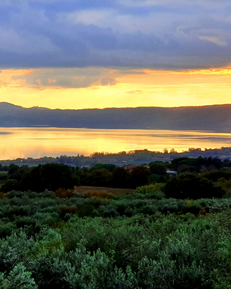 Giardiniere esperto - oliveti, giardini, potatura