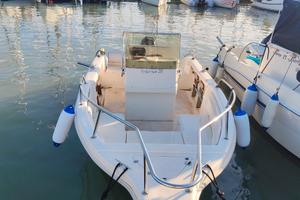 Open mingolla 20 fisherman 40 CV mercury