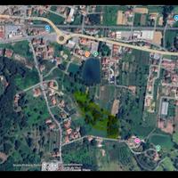 Terreno pianeggiante