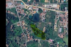 Terreno pianeggiante