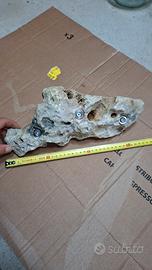 prese da arrampicata in vera roccia 