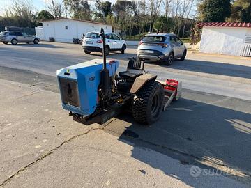 Pulisci spiaggia Tirrenia