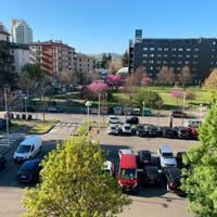 Camera singola appartamento ristrutturato