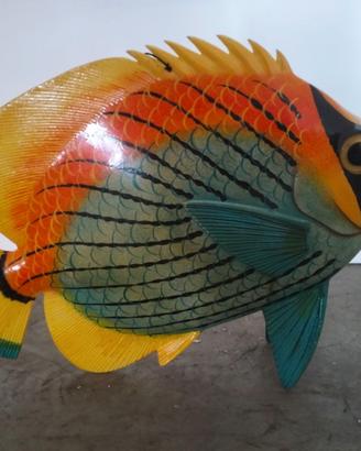 SET PESCI TROPICALI