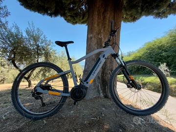 E-bike Haibike Hard Nine