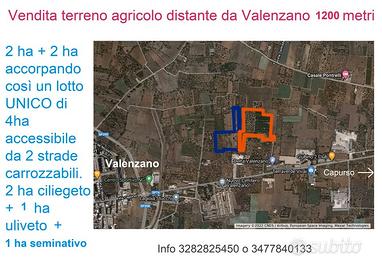 Terreno agricolo a 1200 metri da Valenzano