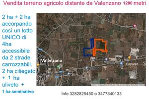 Terreno agricolo a 1200 metri da Valenzano