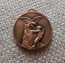 Medaglia alpini 1973 commemorativa