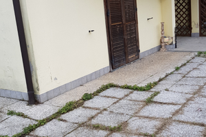 Appartamento in zona tranquilla