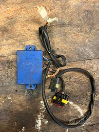 Centralina Malaguti Phantom F12  euro 2 blu Ducati