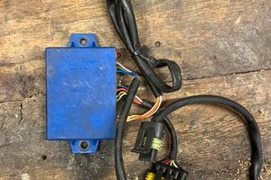 Centralina Malaguti Phantom F12  euro 2 blu Ducati