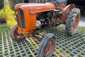 Trattore Fiat 312 con libretto di circolazione.