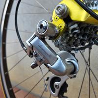 Bicicletta Basso campagnolo 