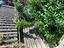 Immagine 25