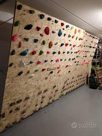 Pannello/parete arrampicata