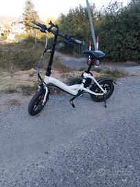 bicicletta elettrica 