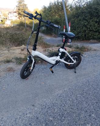 bicicletta elettrica 