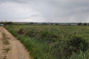 Terreno agricolo edificabile