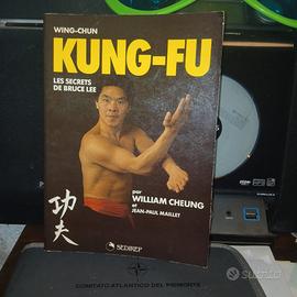 Kung fu bruce lee