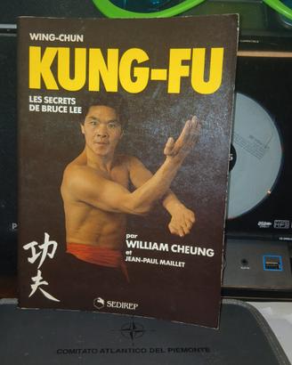 Kung fu bruce lee