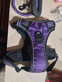 pettorina,tosatrice, spazzola, taglia ung6