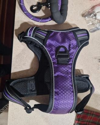 pettorina,tosatrice, spazzola, taglia ung6