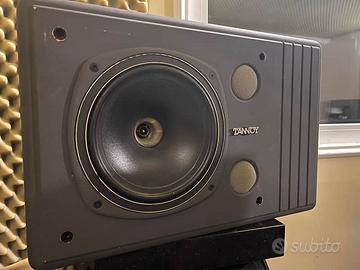 Tannoy studio monitors