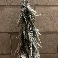 Set nataluzio super sconto