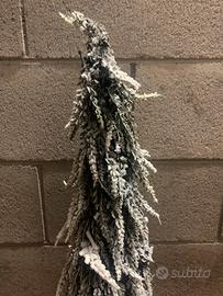 Set nataluzio super sconto